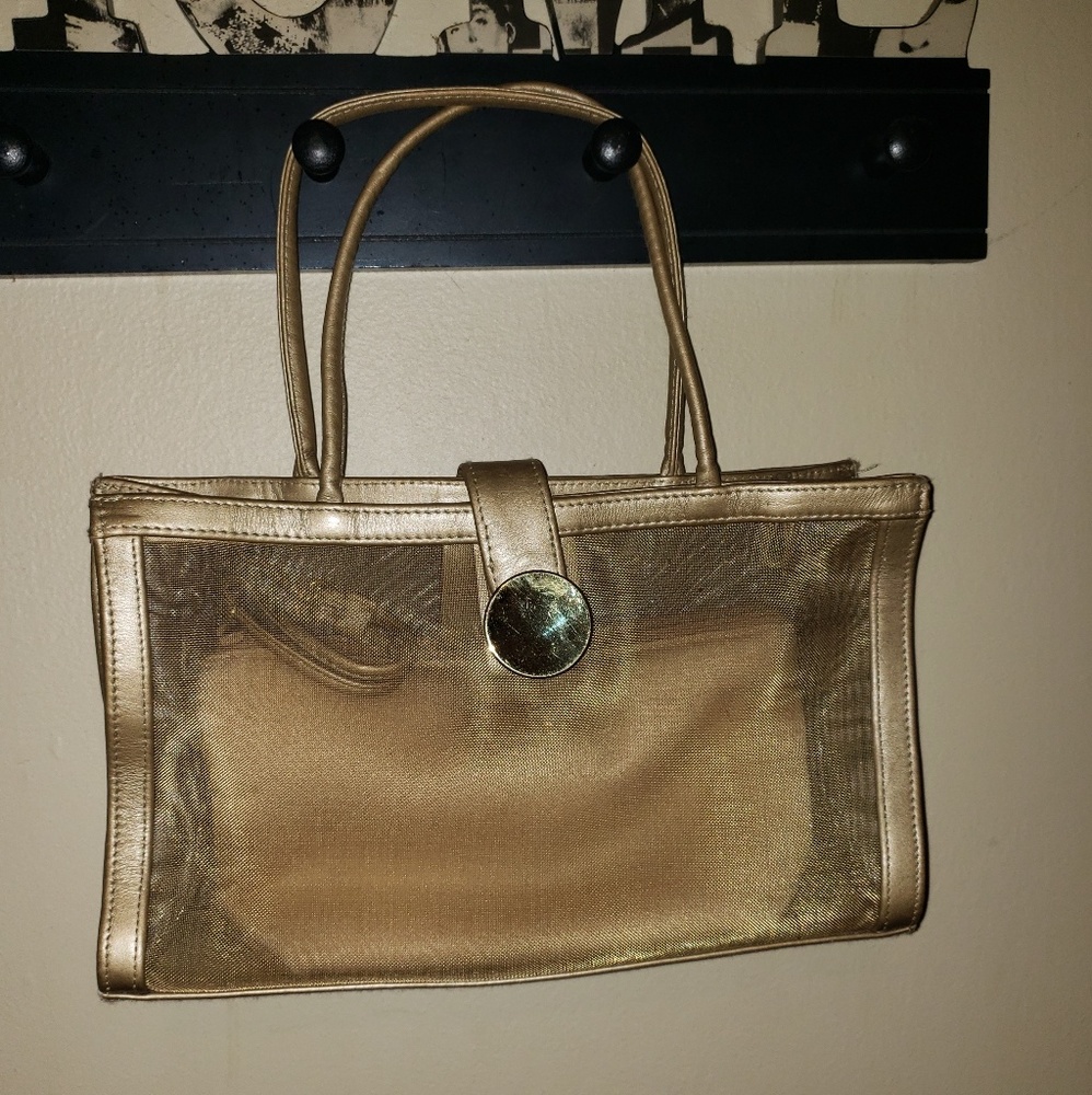 Susan gail gold mesh with detachable interior bag
